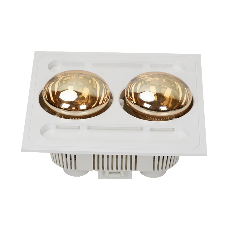 Ceiling heater
